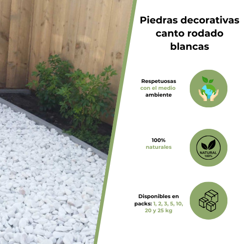 Canto rodado Blanco, Piedra Decorativa Jardín Blanca 60- 100 mm 10 kg - 3