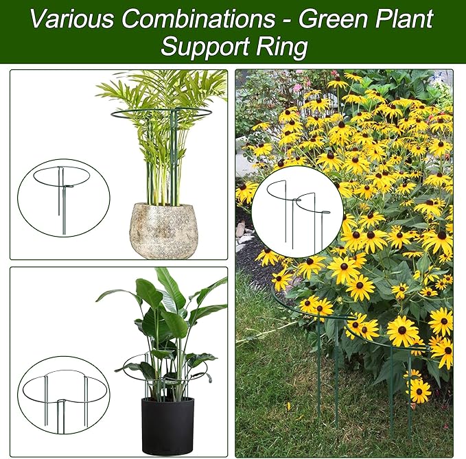 Lot de 10 supports de plantes semi-circulaires en métal - 40 x 25 cm - Support pour plantes en pot, fleurs, légumes - 2