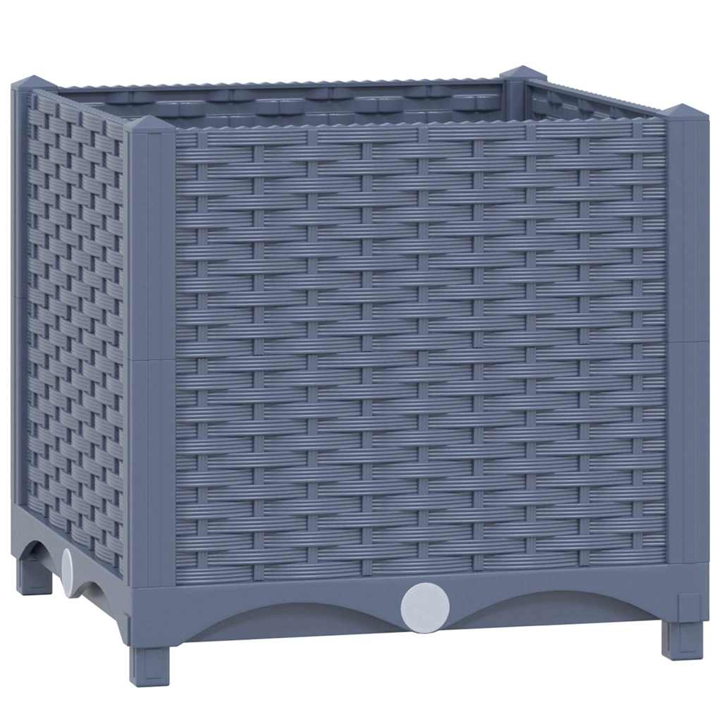 Rectangulaire