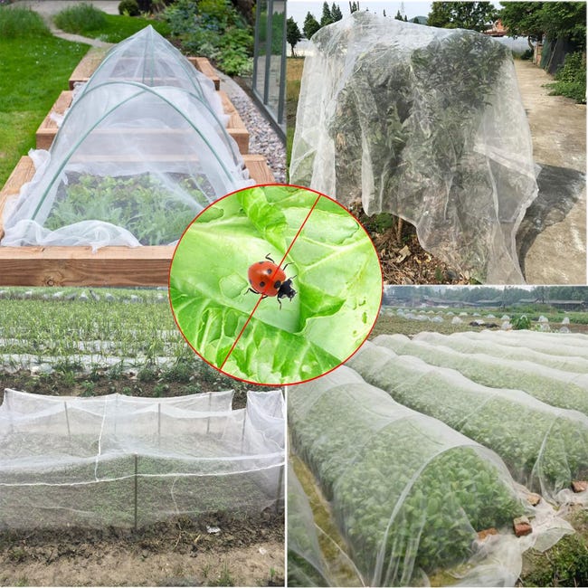 Rete Antinsetto Con Coulisse 1,8x1,8 M – Protezione Naturale Per Piante E Orto – Include Fascette