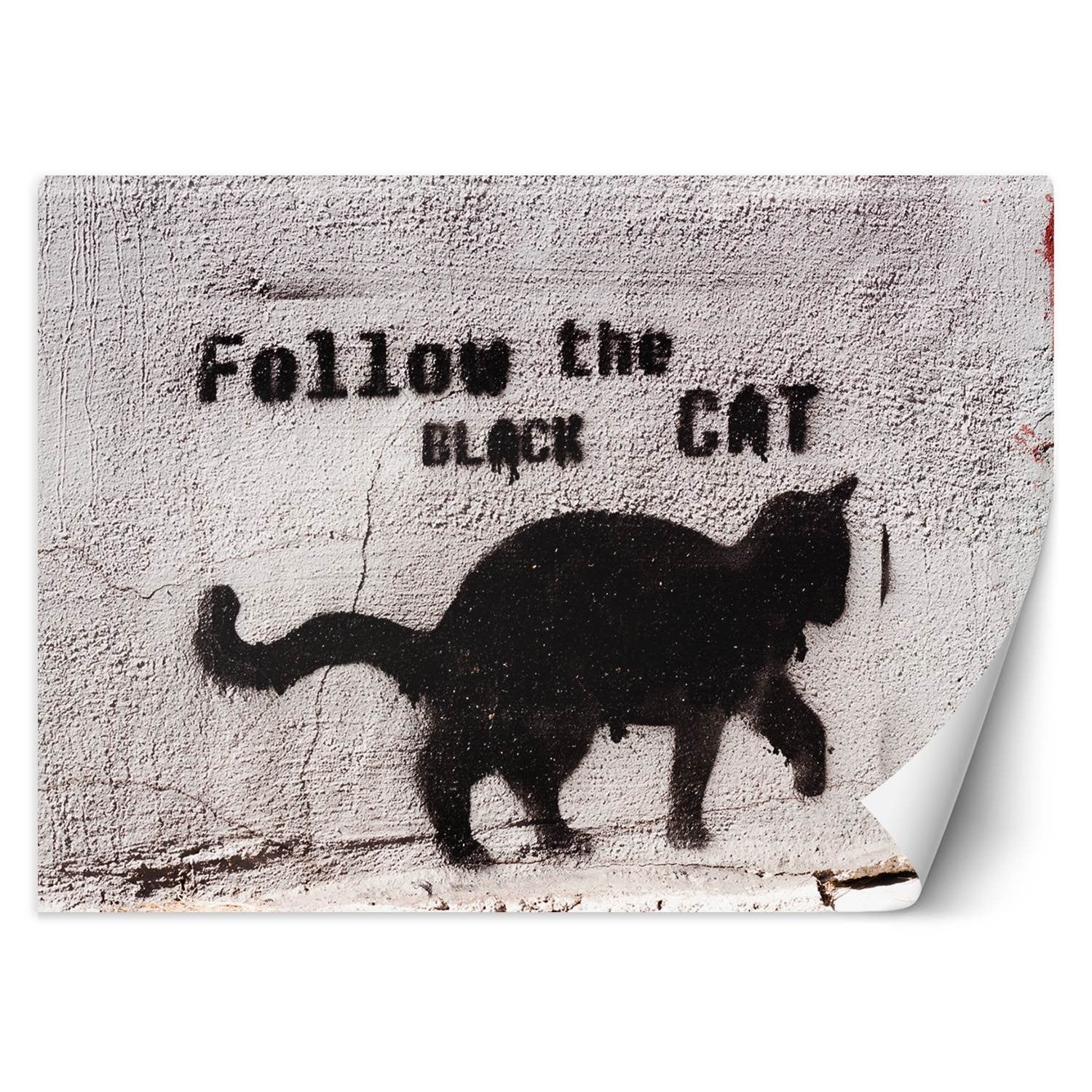 Fototapeta, Czarny kot follow the black cat beton 254x184