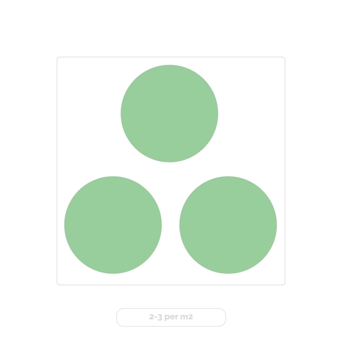 Lot de 3 - Fargesia rufa - Bambou non traçant - Persistant - 20-30 cm de haut - Pot 10 cm - 6