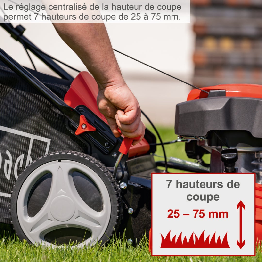 Scheppach Tondeuse thermique MS225-53 - moteur 4 temps - 224 cm³ - largeur de coupe 53 cm - hauteur de coupe 25-75 mm - 1800 m² - bac 65L - 9