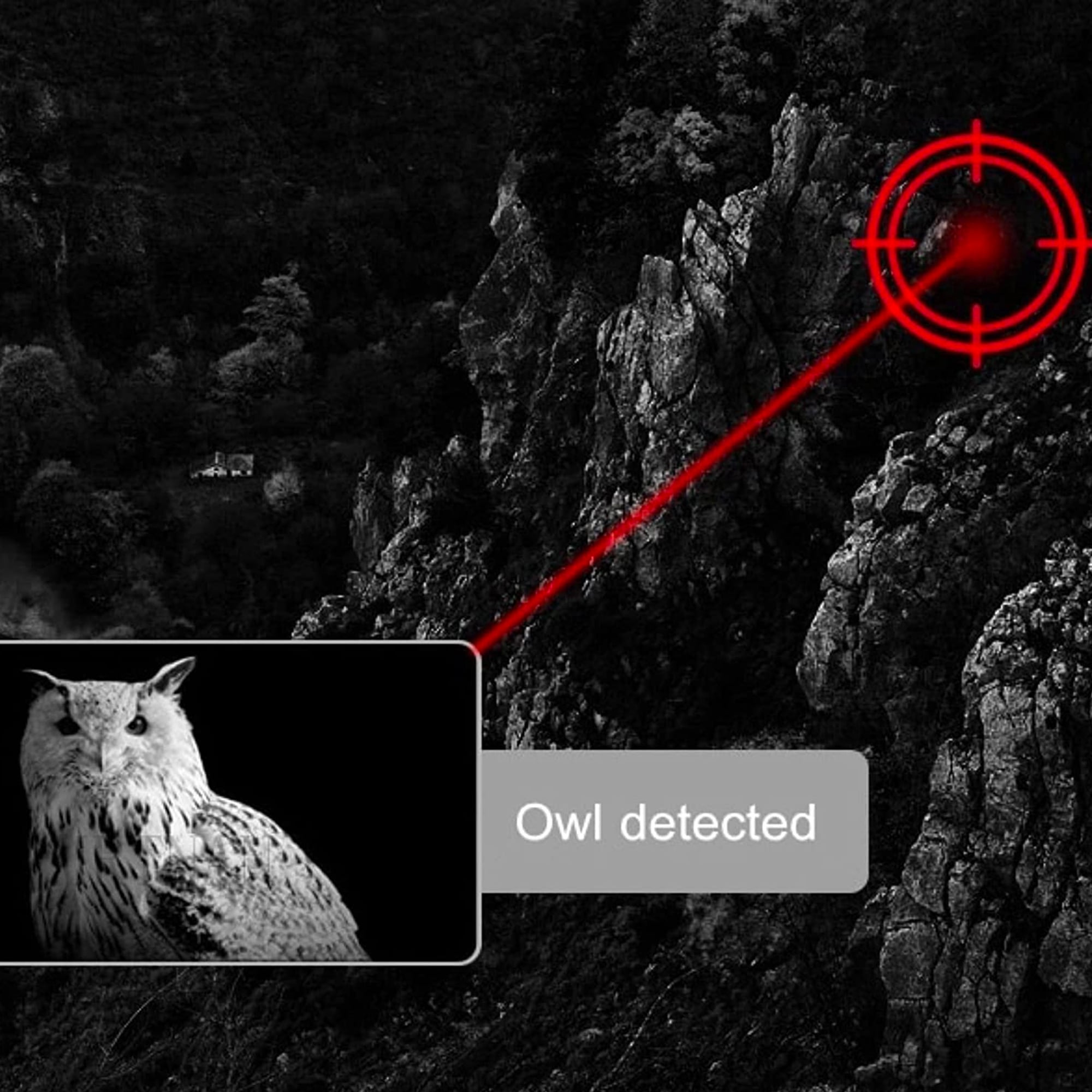 Binocolo per visione notturna a infrarossi FISHTEC, Portata 300 m, Registrazione foto e video, Zoom digitale, Custodia inclusa. - 8