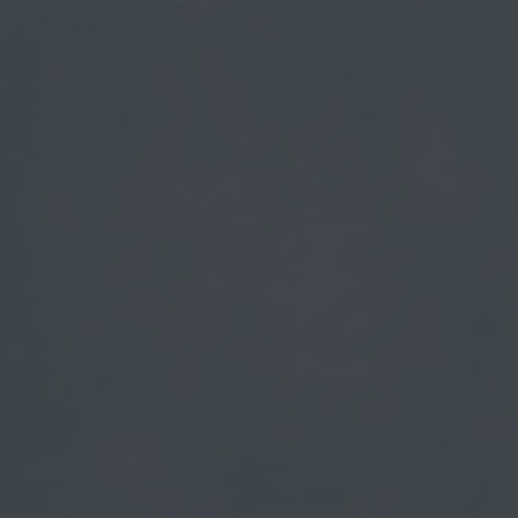 Gris / plata