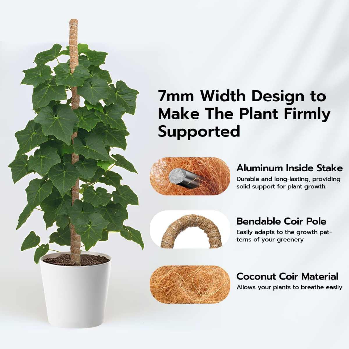 Tuteur Plante Grimpante Coco sur Piquet de Plante 120cm, Support Tuteur de Coco Largeur de 7mm Pliable Poteau de Croissance de Grimpantes - 3