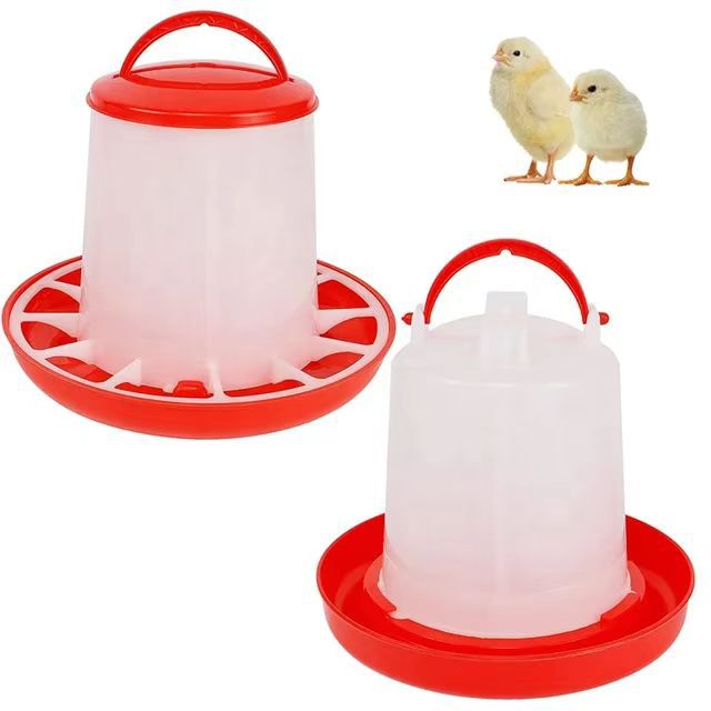 Vermelho Comedouro bebedouro automático para galinhas comedouro bebedouro automático bebedouro automático para galinhas comedouro bebedouro bebedouro
