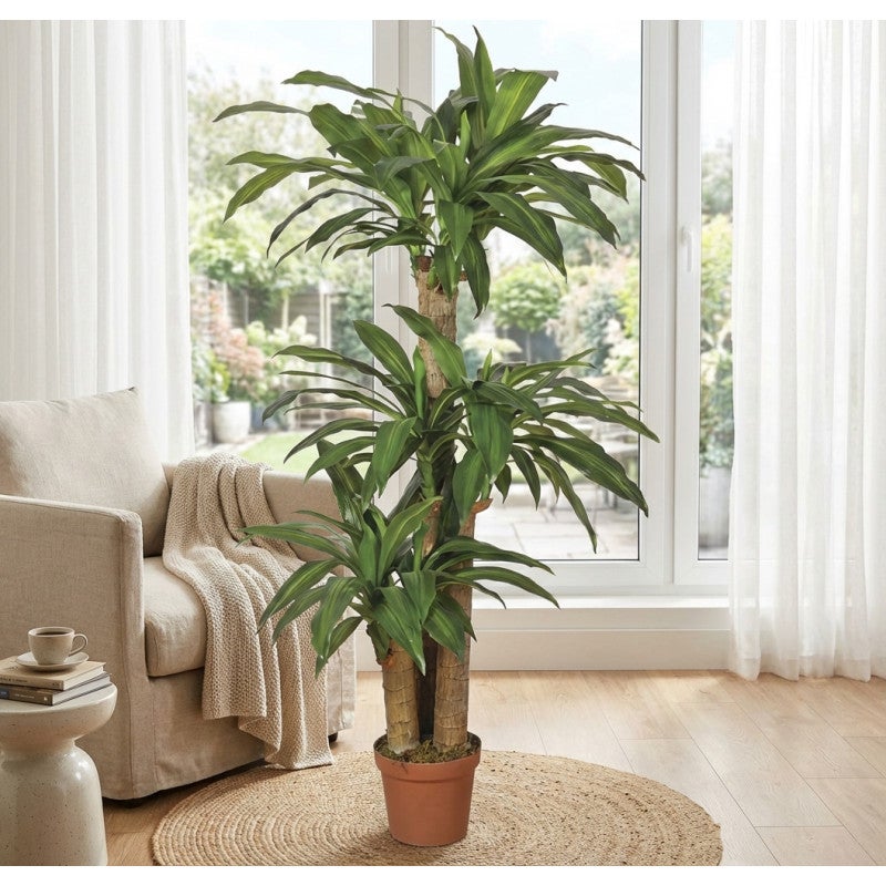 Plante Artificielle Dracaena 145cm avec pot | Plantes en plastique pour la décoration de jardin intérieur et extérieur - 5
