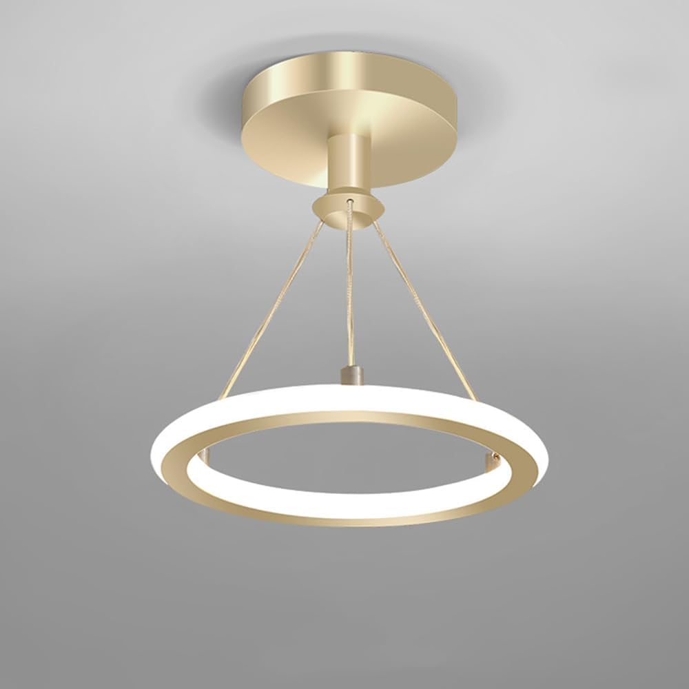 Lustre suspendu 19W,luminaires de lustre LED modernes variable 3 température de couleur 3000K/4500K/6500K,lustres à plafond,salle à manger(or) - 4