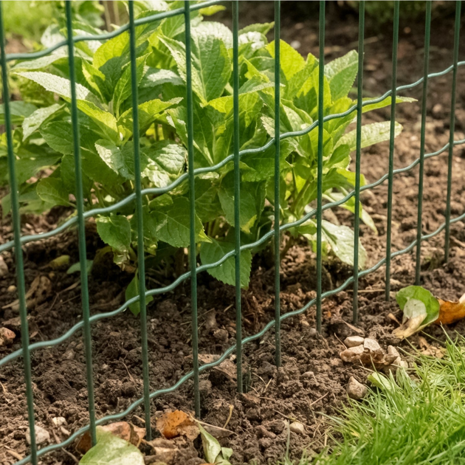 Grillage soudé plastifié pour clôture de jardin - 20 m x 1.5 m - Maille 5 x 10 cm - Diam 2.1 mm - Vert - Linxor - 5