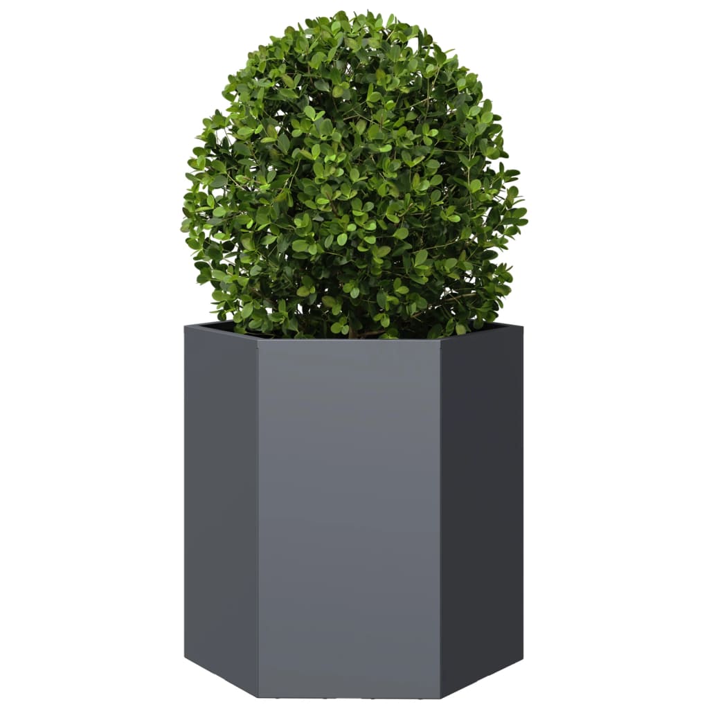 Maison Exclusive - Jardinera hexagonal acero gris antracita 46x40x45 cm - 3