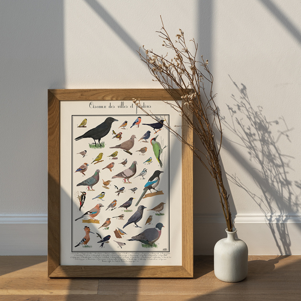 Poster les Oiseaux des jardins 50 x 70 cm - 3