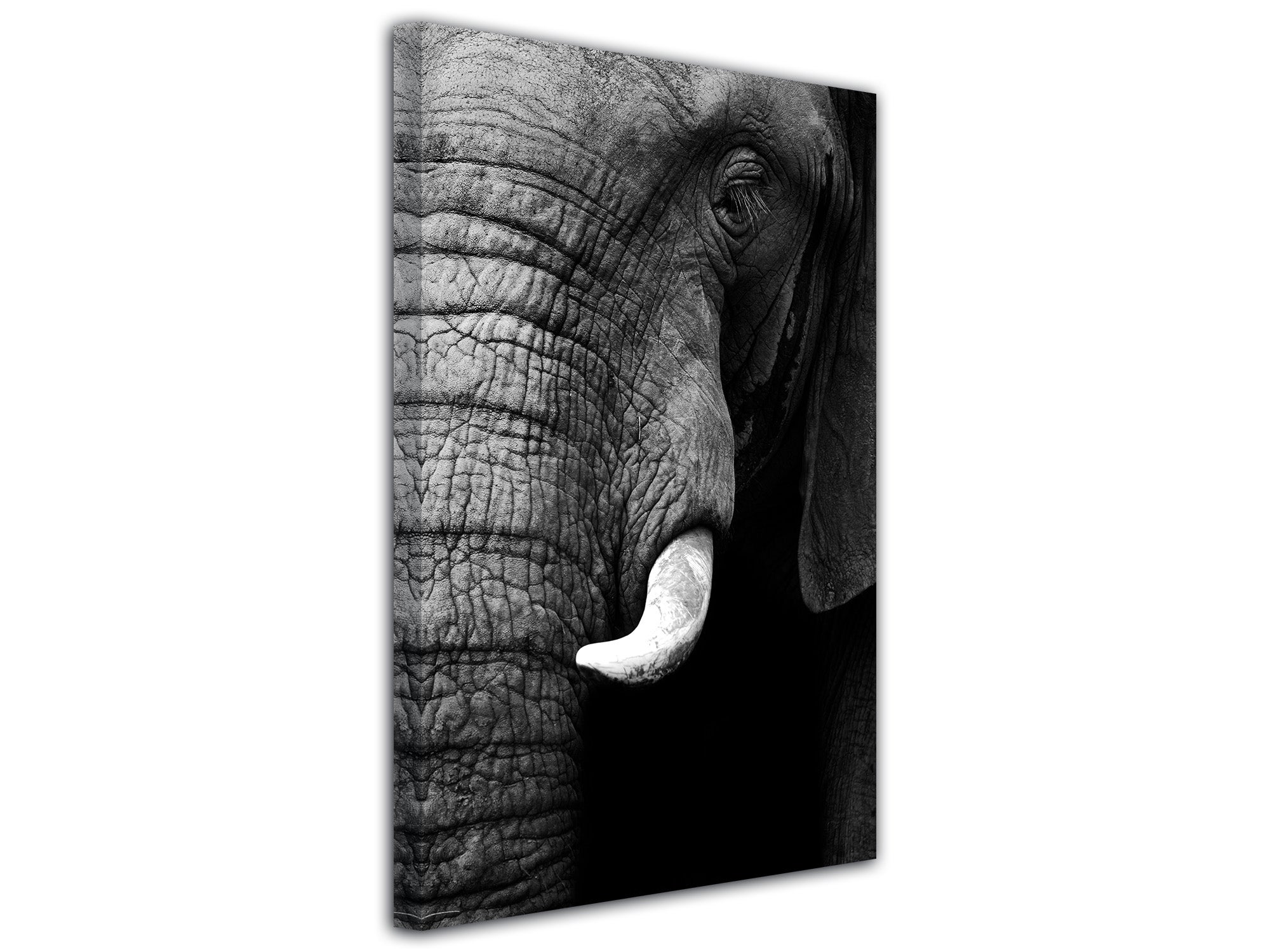 Kit Décoration 5 Tableaux Imprimés Sur Toile - Thème éléphant Afrique - 110x60 Cm - Neuf