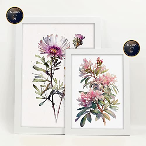 Set D'Affiches Fleurs Jaunes Style Vintage - Décoration Murale Botanique A4 Et A3