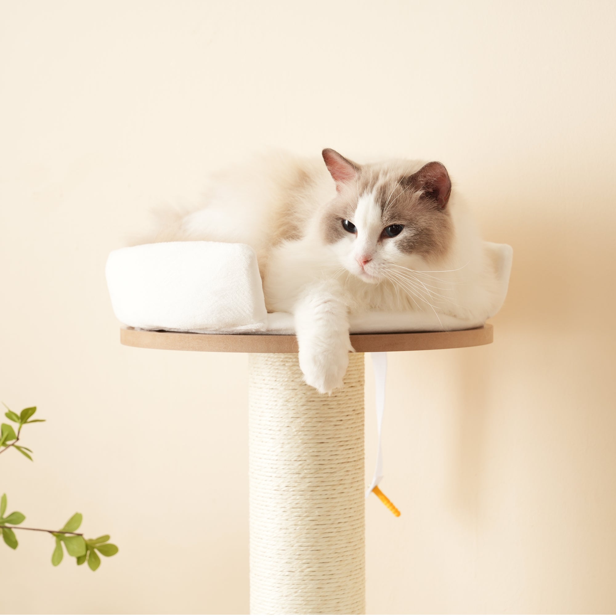 Arbre à chat avec 3 plateformes, 1 niche et coussins - 60 x 48 x 135 cm - Cadre en MDF - Marron - 7