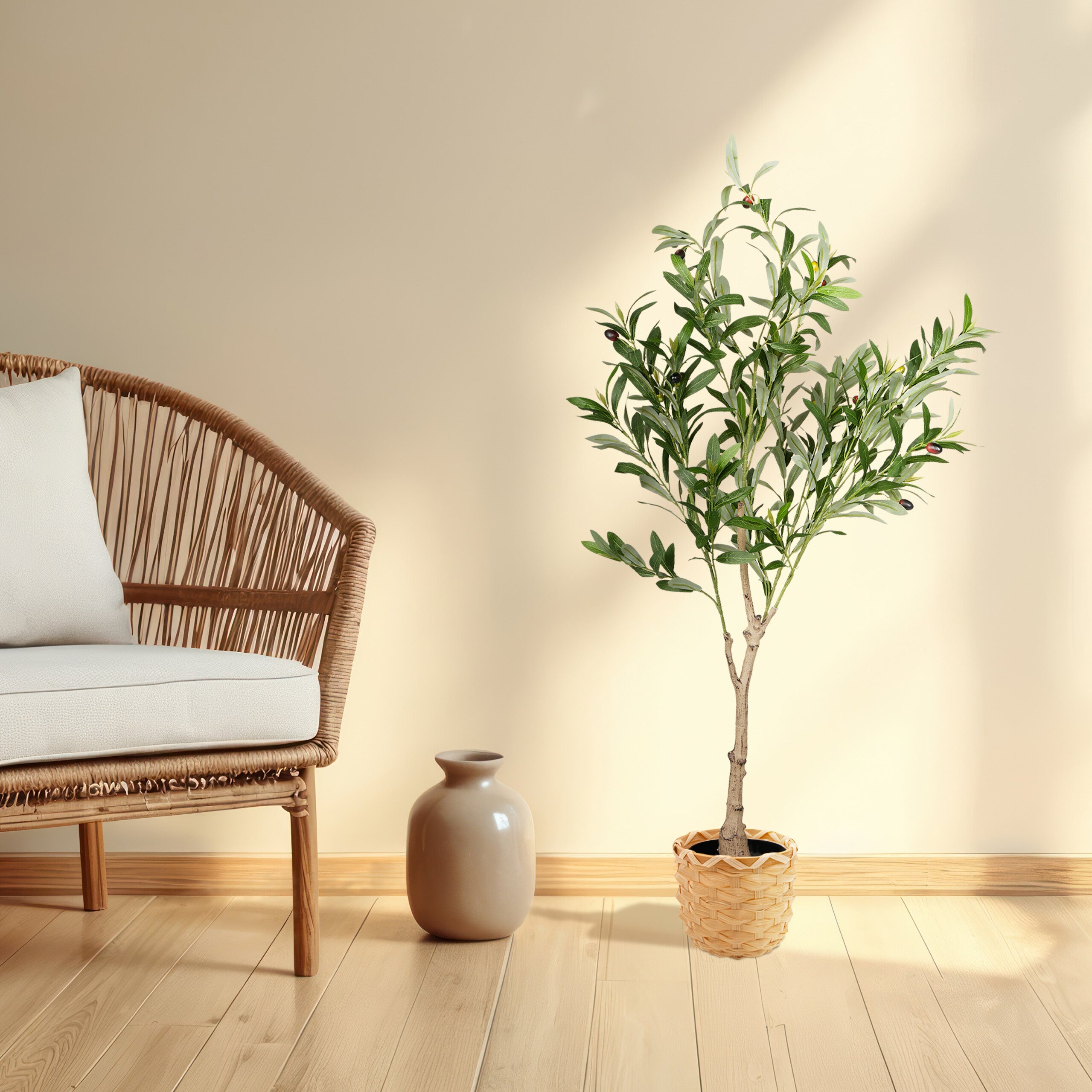 Albero di Ulivo (Olea Europea) Vendita piante online | Fratelli