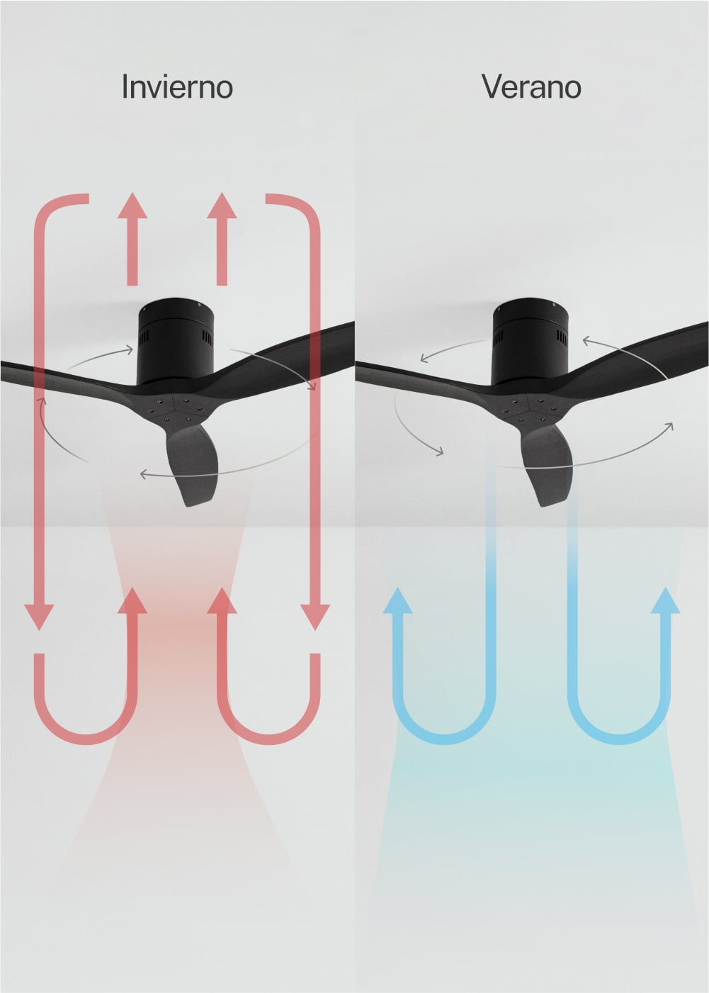 CREATE - WIND CALM M - Ventilateur de plafond silencieux 40W avec pales techniques en ABS Ø132cm sans eclaraige avec contrôleur mural - 6