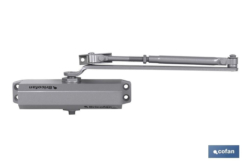 Cierrapuertas Con Retencià³n-40/65KGS-Acabado Plata | Leroy Merlin