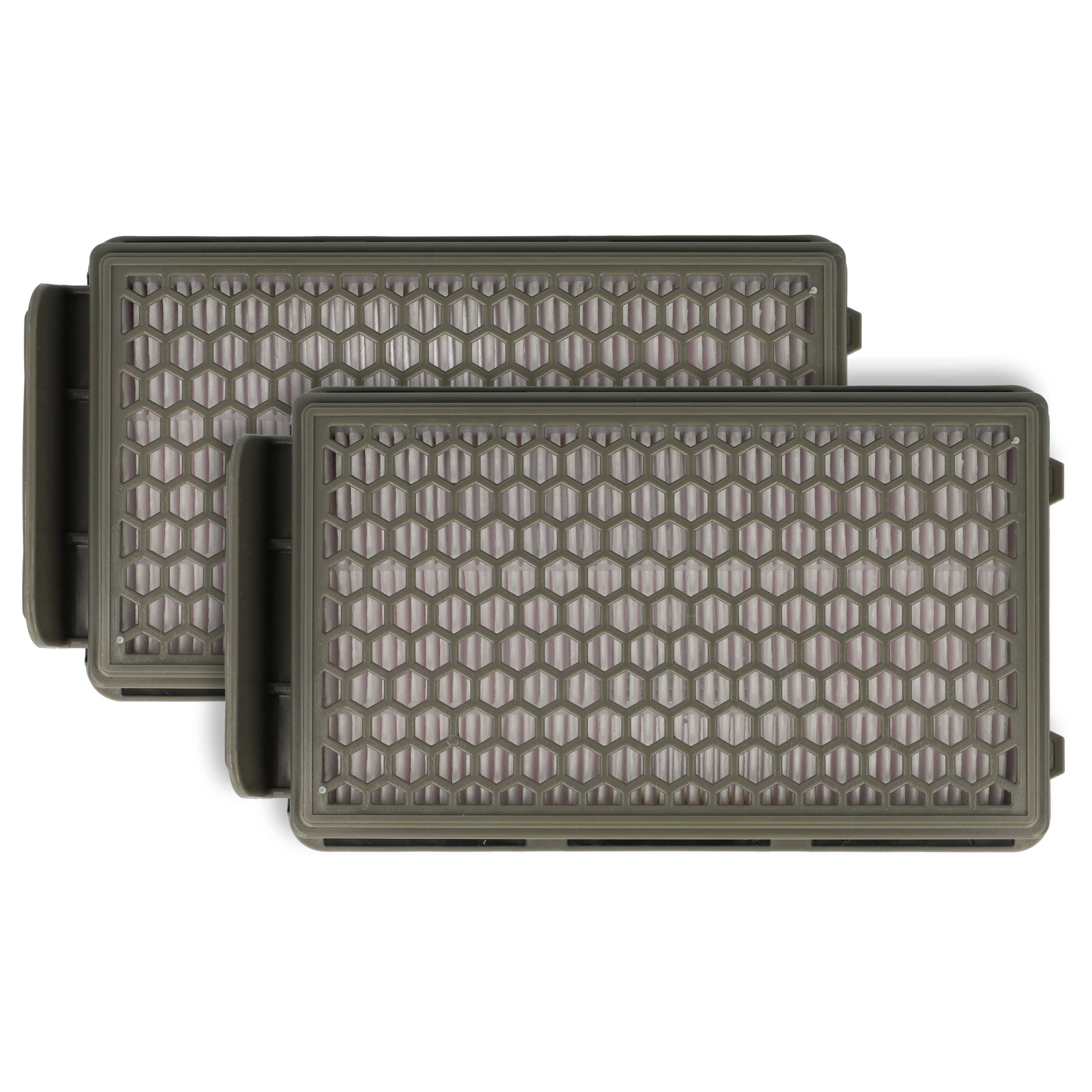 Vhbw 2x filtre compatible avec Rowenta RH8021WB, RH8037WA, RH801