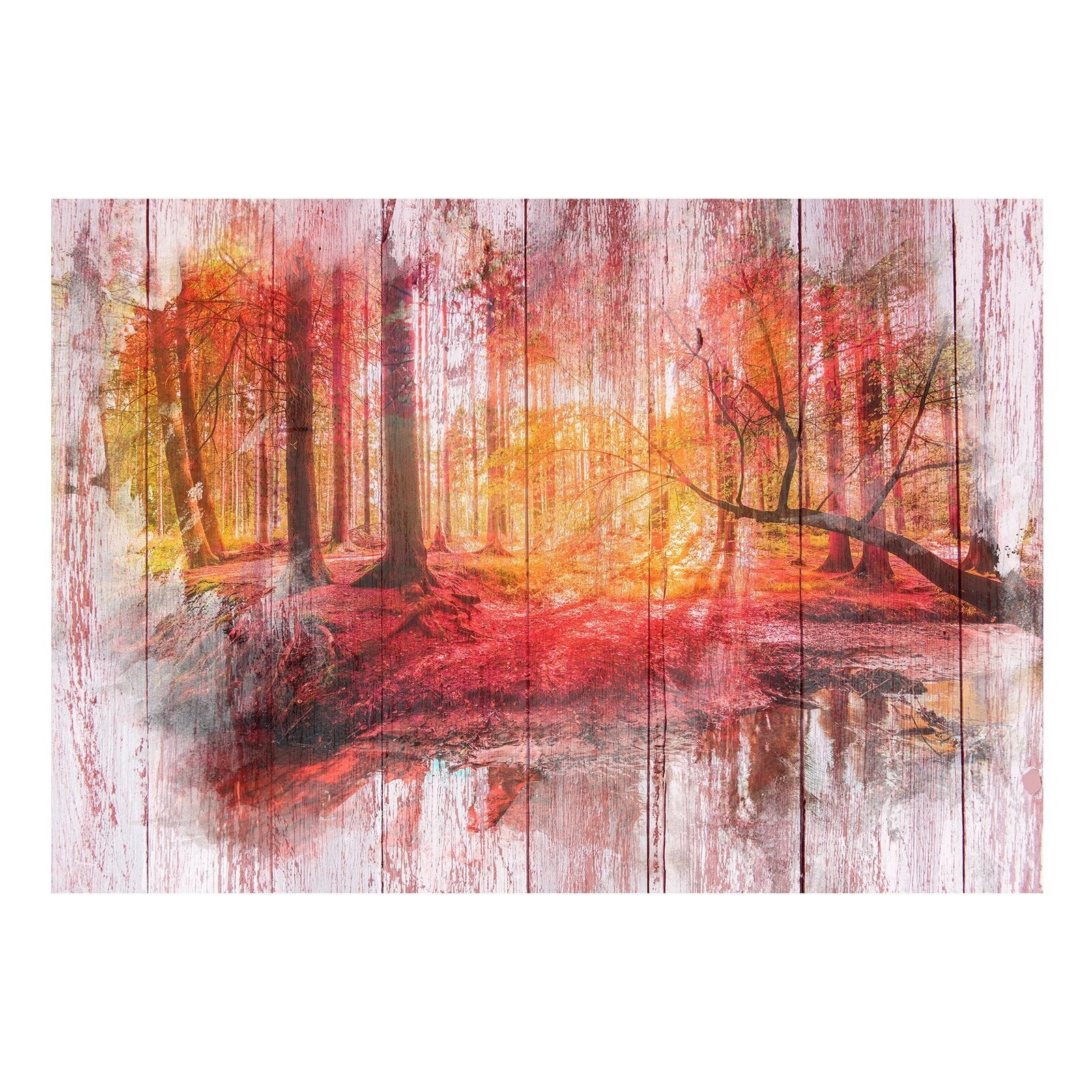 Papier peint forêt d'automne - 350 x 245 cm - 2