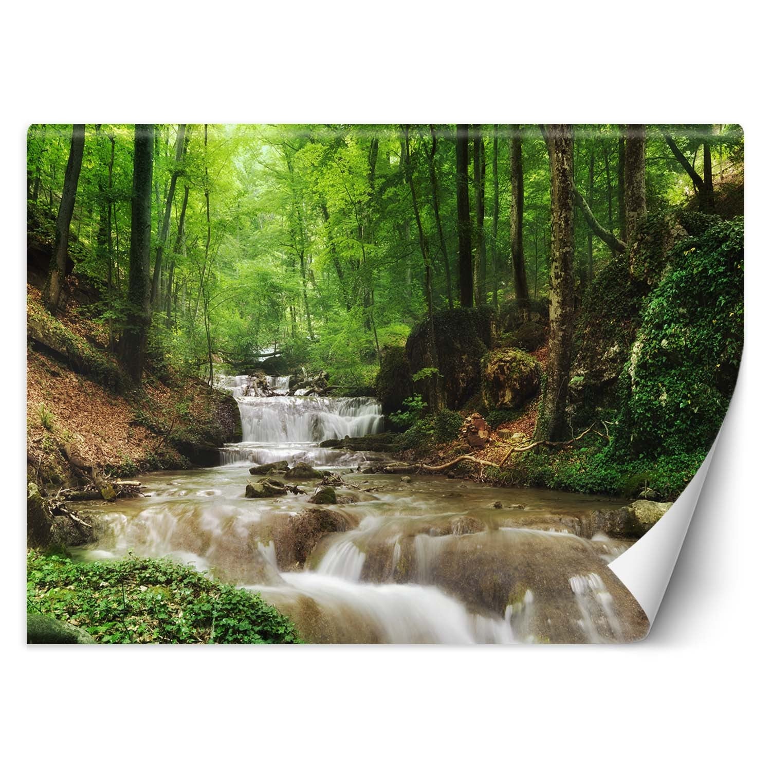 Fototapeta, Górski potok las natura 200x140