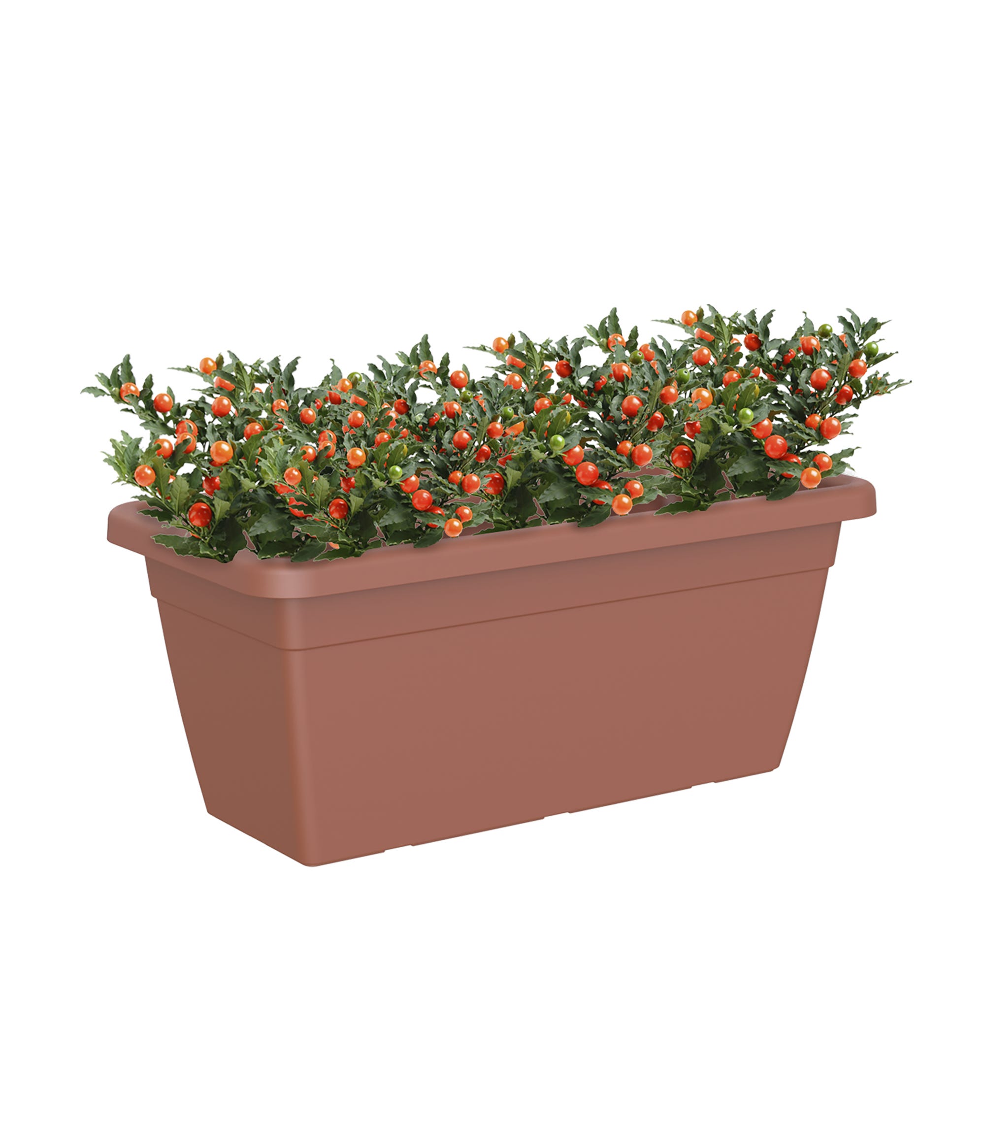 Jardinière XL VENEZIA terre cuite 80x39x34,5cm - 2