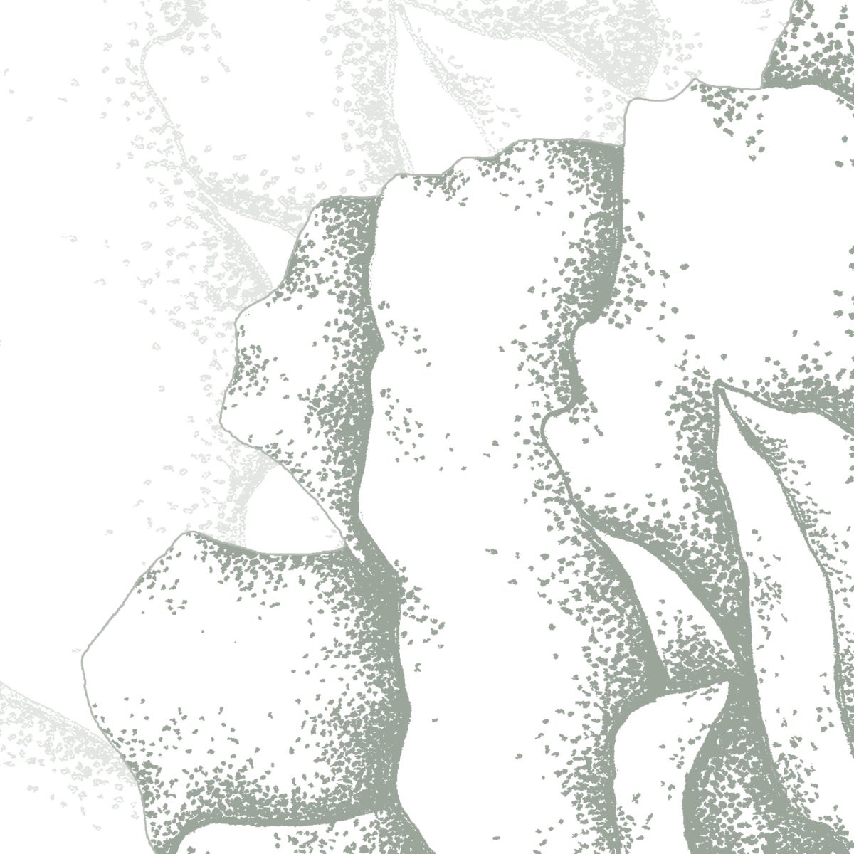 Cuore di peonie carta da parati panoramica Verde di grigio 225x250cm - 3