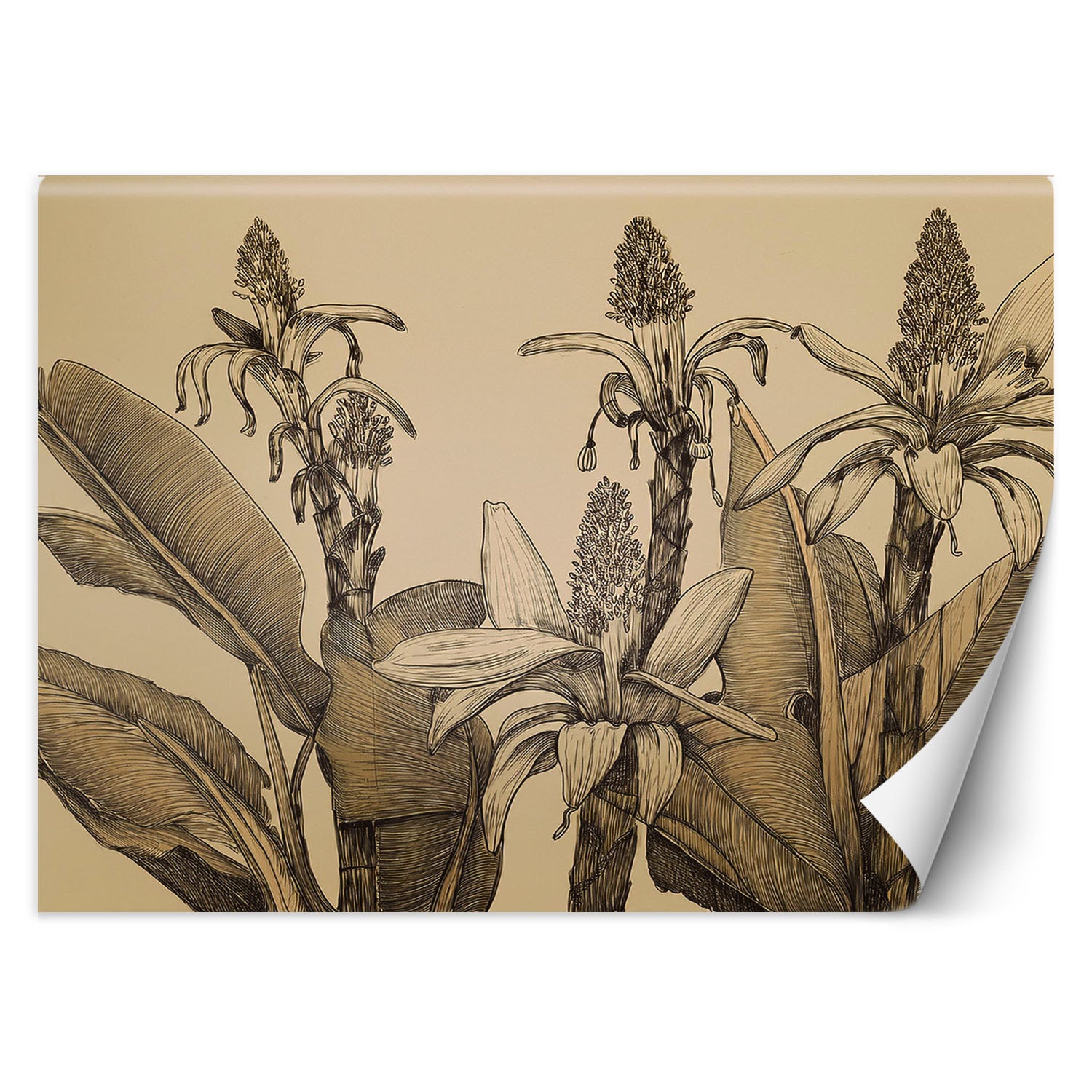 Fototapeta, Kwiaty rośliny vintage 100x70