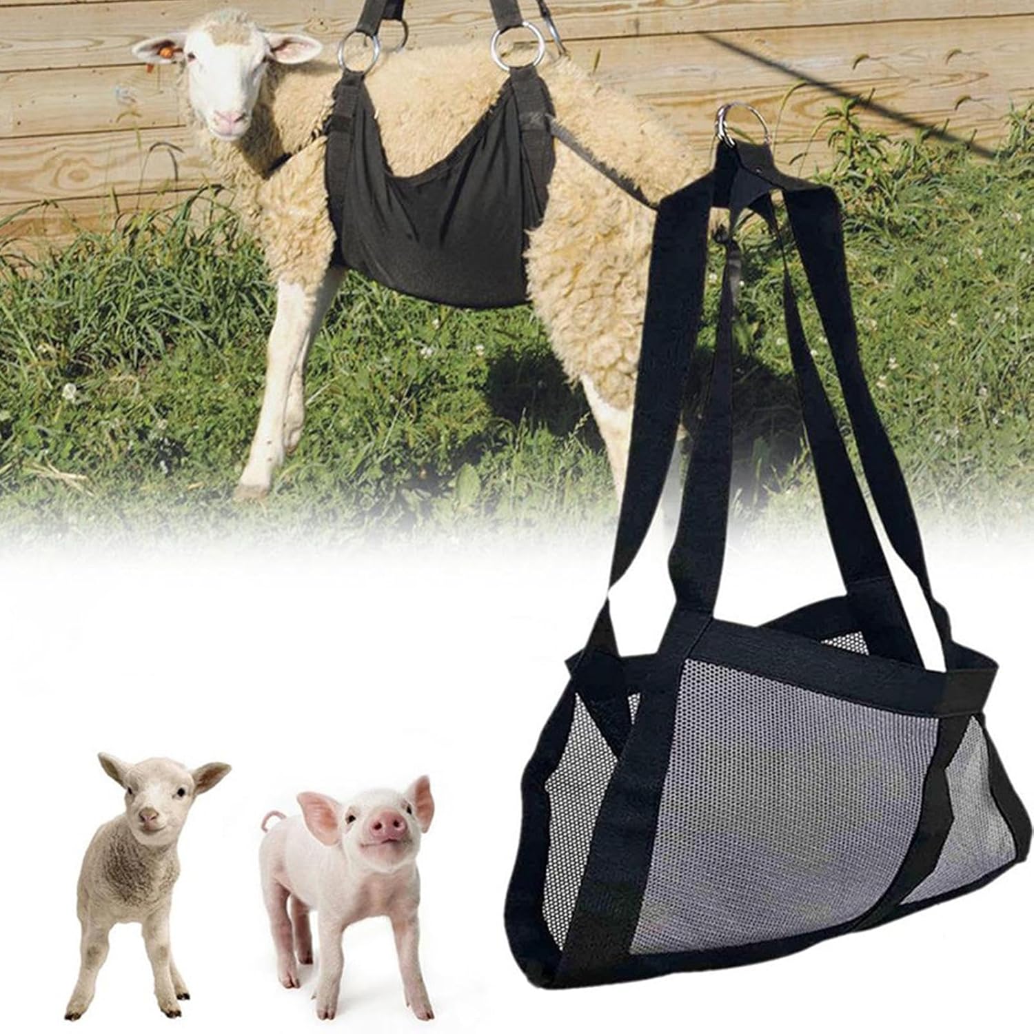 Laisse De Présentation Haltère Pour Veau Nylon Ajustable - Dressage Bétail Chèvre Agneau Mouton