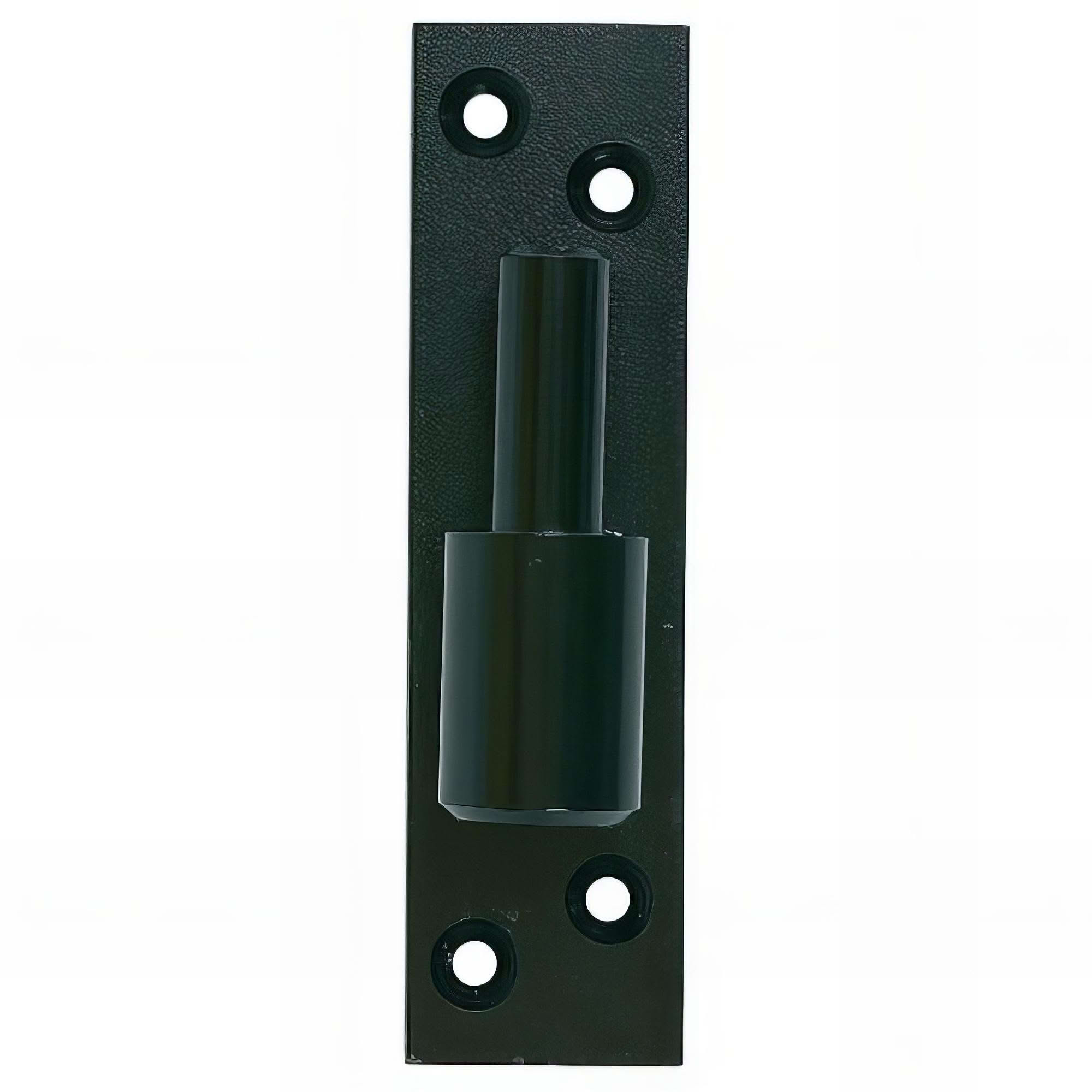 Clips De Revêtement Intérieur Noir/Gris – Trou 10mm, Tête 35mm – Greitapigu.lt