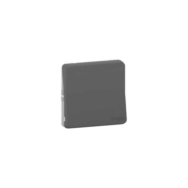 Schneider Electric - Mureva Styl - Bouton poussoir porte-etiquette - IP55 gris - MUR34029