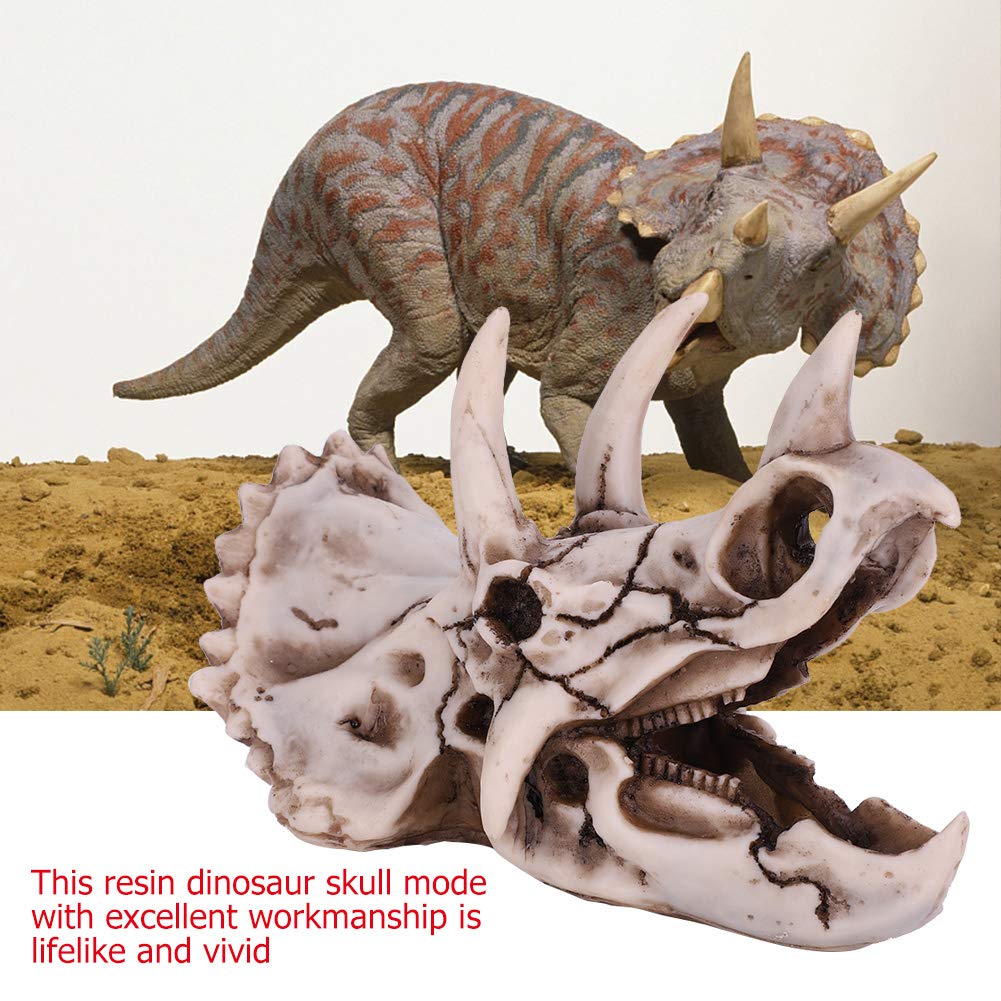 Modello Teschio Dinosauro Tbest - Resina Decorativa Per Collezionisti