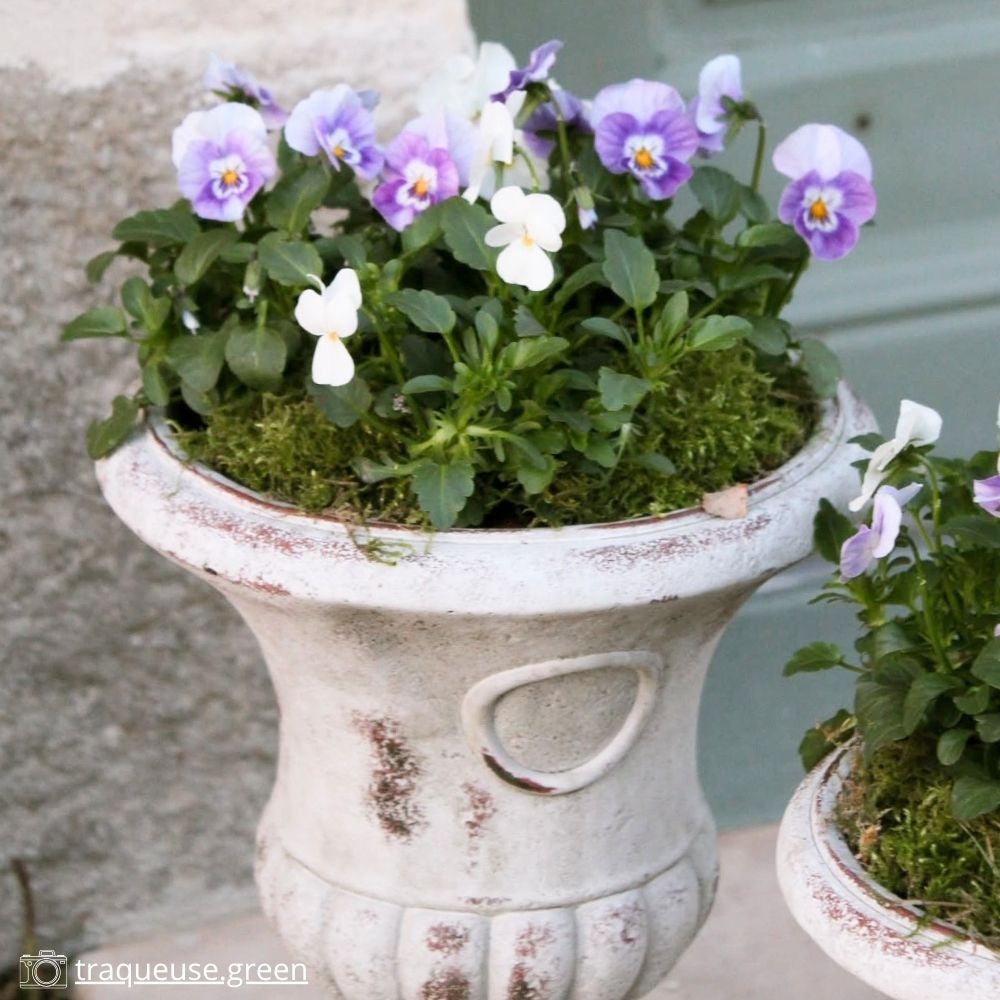 Vase médicis jardin vasque style pierre béton blanc motif vieilli 24cm - 5