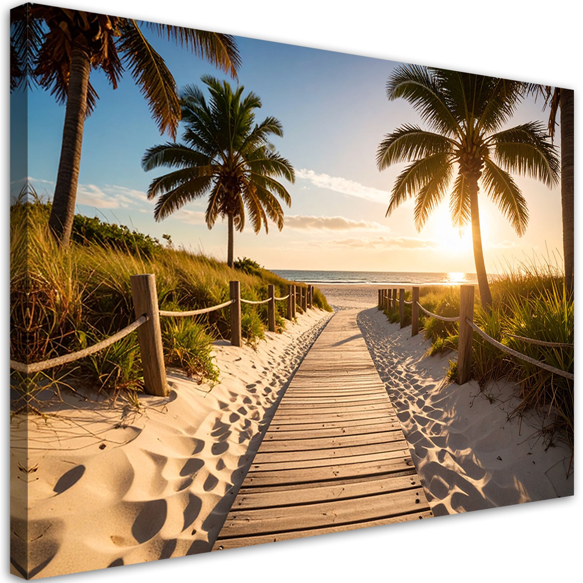 Obraz do salonu sypialni jadalni, Ścieżka na plażę Krajobraz Palmy 120x80
