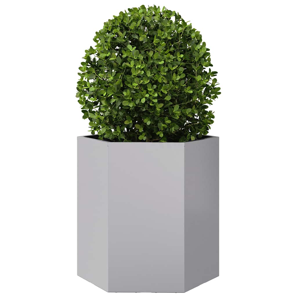Maison Exclusive - Jardinera hexagonal acero inoxidable 46x40x45 cm - 3