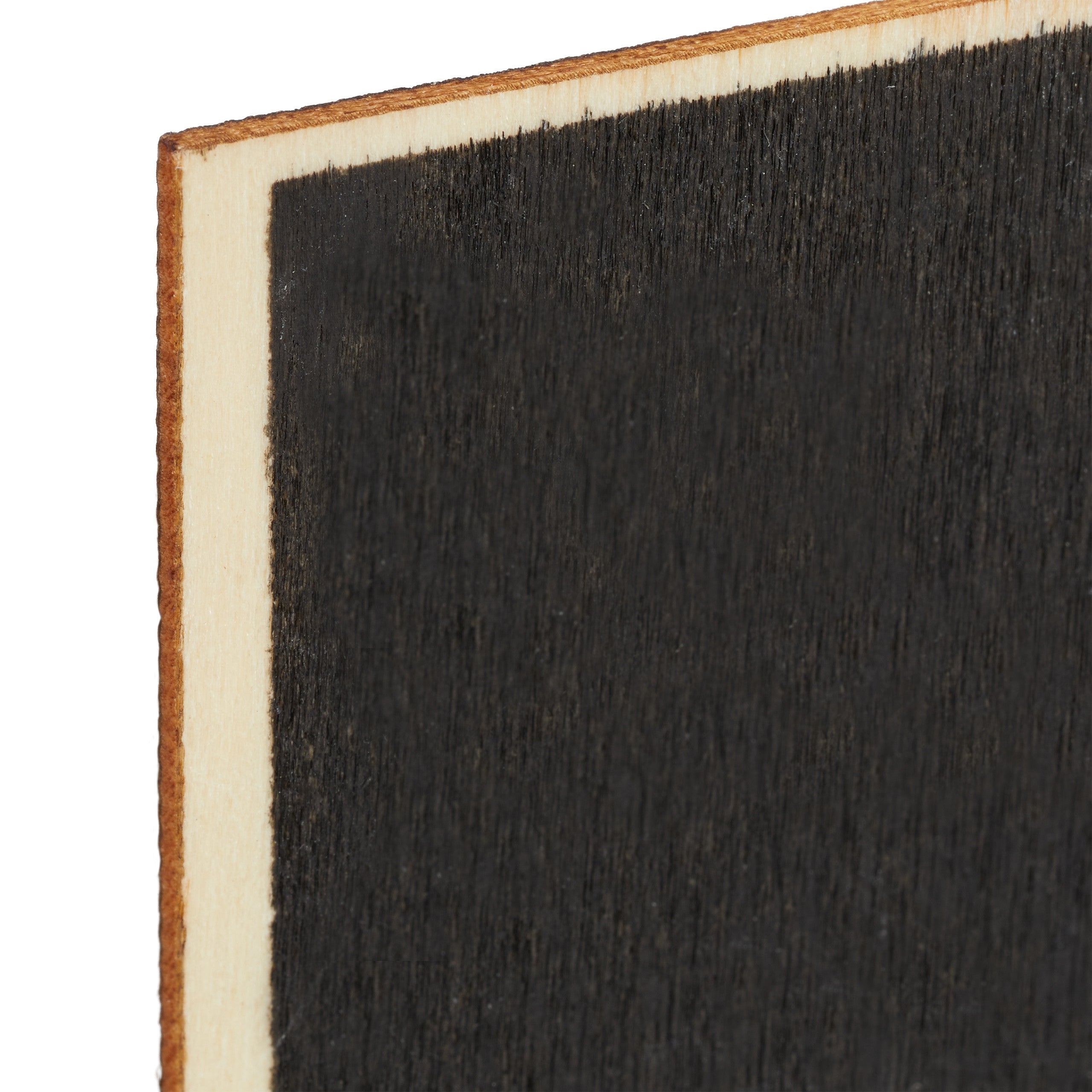 Pincettes pour tableau, jeu de 40, pour identifier plantes, réutilisables, avec craies, en bois, nature/noir - 7