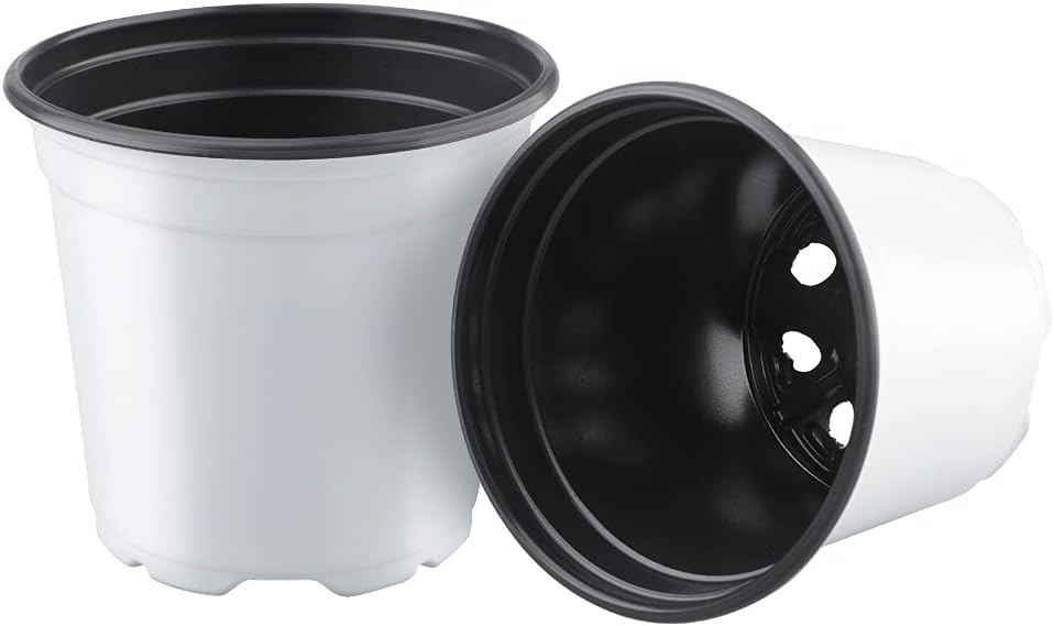 Opakowanie 100 białych plastikowych doniczek o średnicy 12 cm na sukulenty, warzywa i sadzonki. - 4