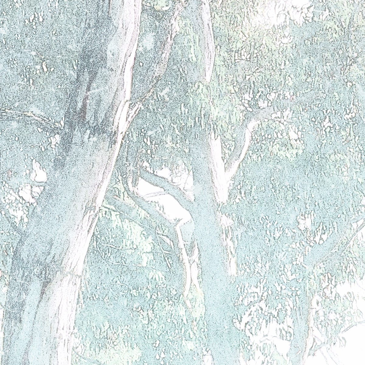Fotomurale in tessuto non tessuto di Komar - Magic Trees - Dimensione: 300 x 280 cm - 8