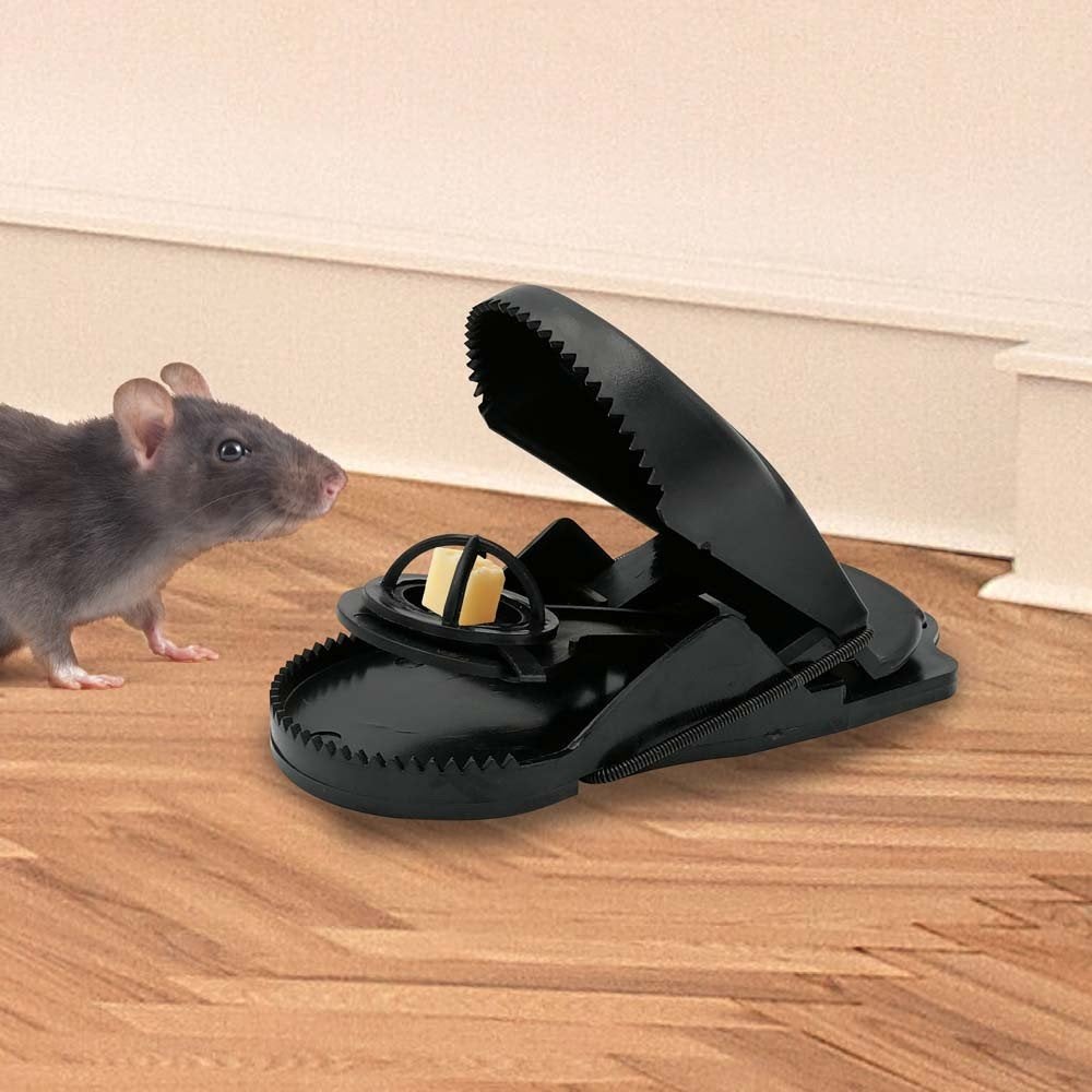 Tapette à souris x 4 - 2