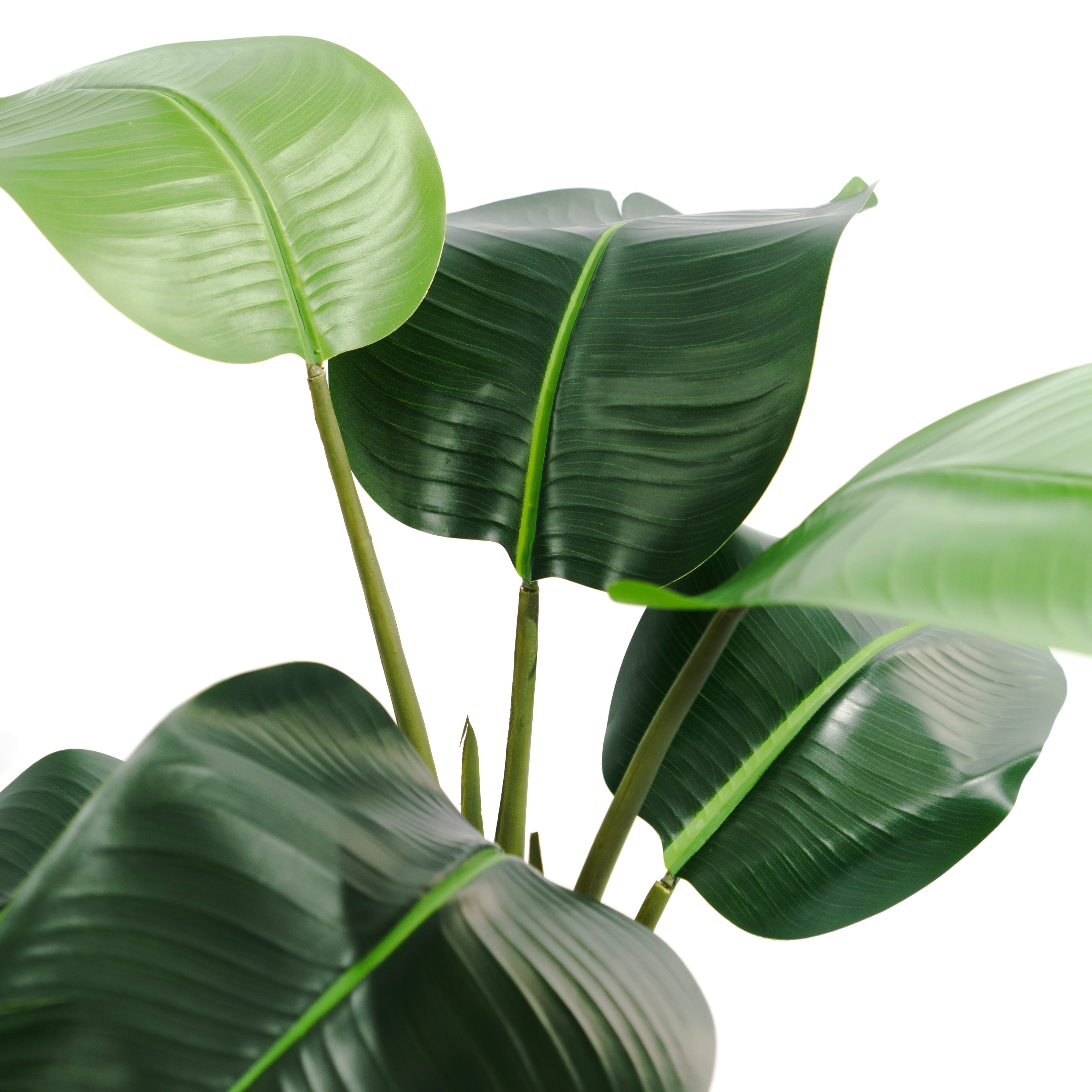 Planta Artificial Ave del Paraíso 80 cm – Strelitzia Decorativa ideal para Casa y Oficina - 6