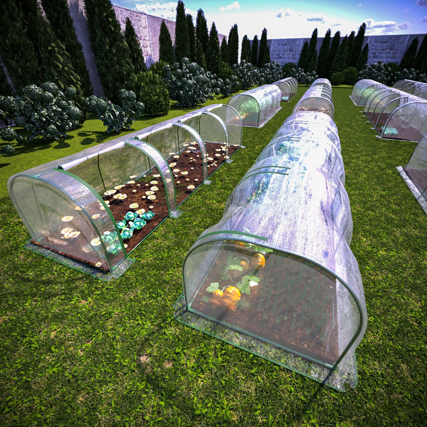Serra A Tunnel Belmont In Acciaio Con Telo PVC Trasparente – 3 Porte A Cerniera, 295x100x80 Cm, Per Orto E Giardino