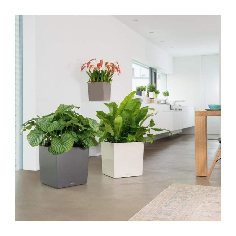 Pot de fleur LECHUZA Cube Premium 40 - kit complet, blanc brillant - 5