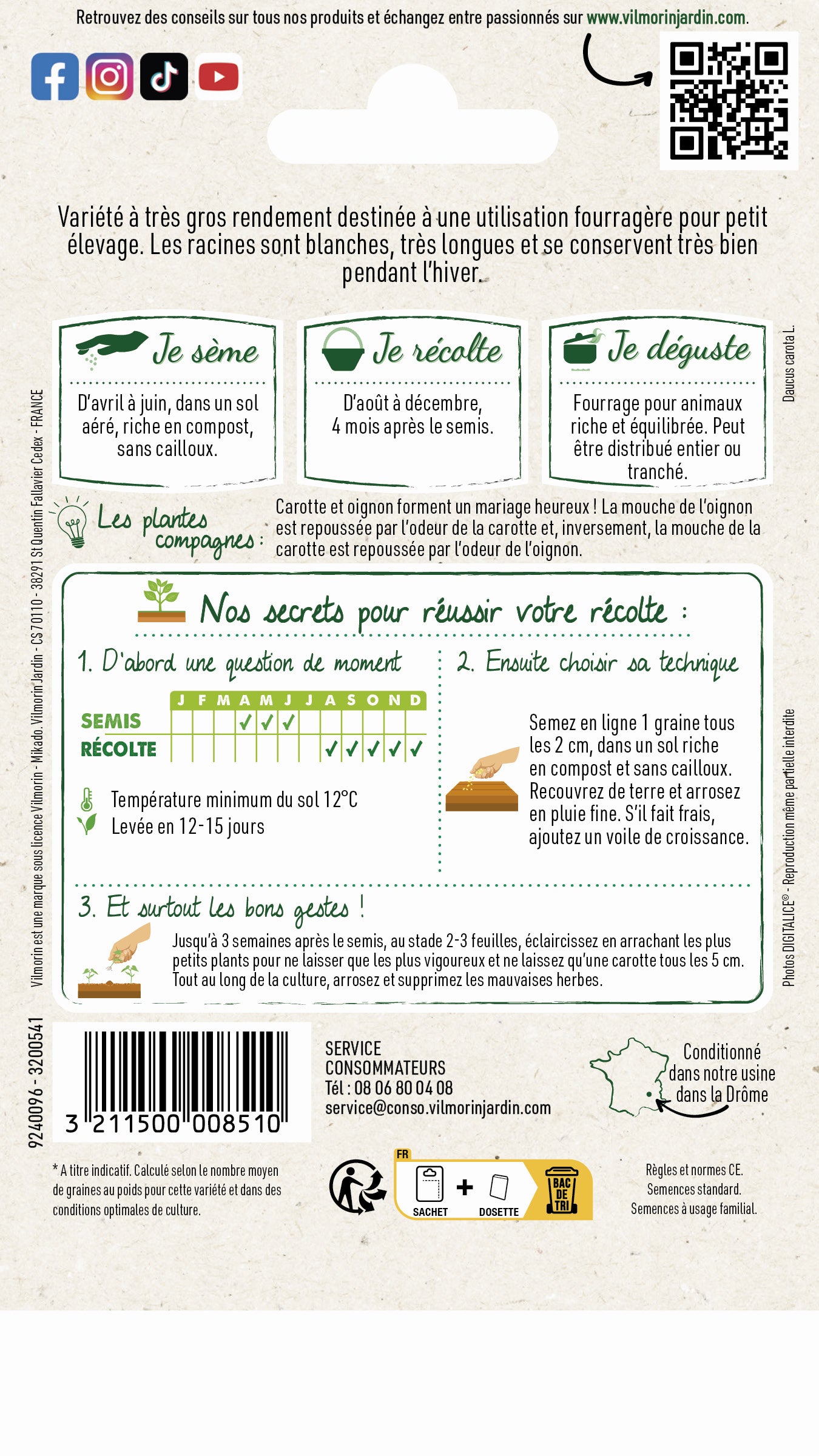 Carotte Fourragère Blanche à Collet Vert Hors Terre - 2