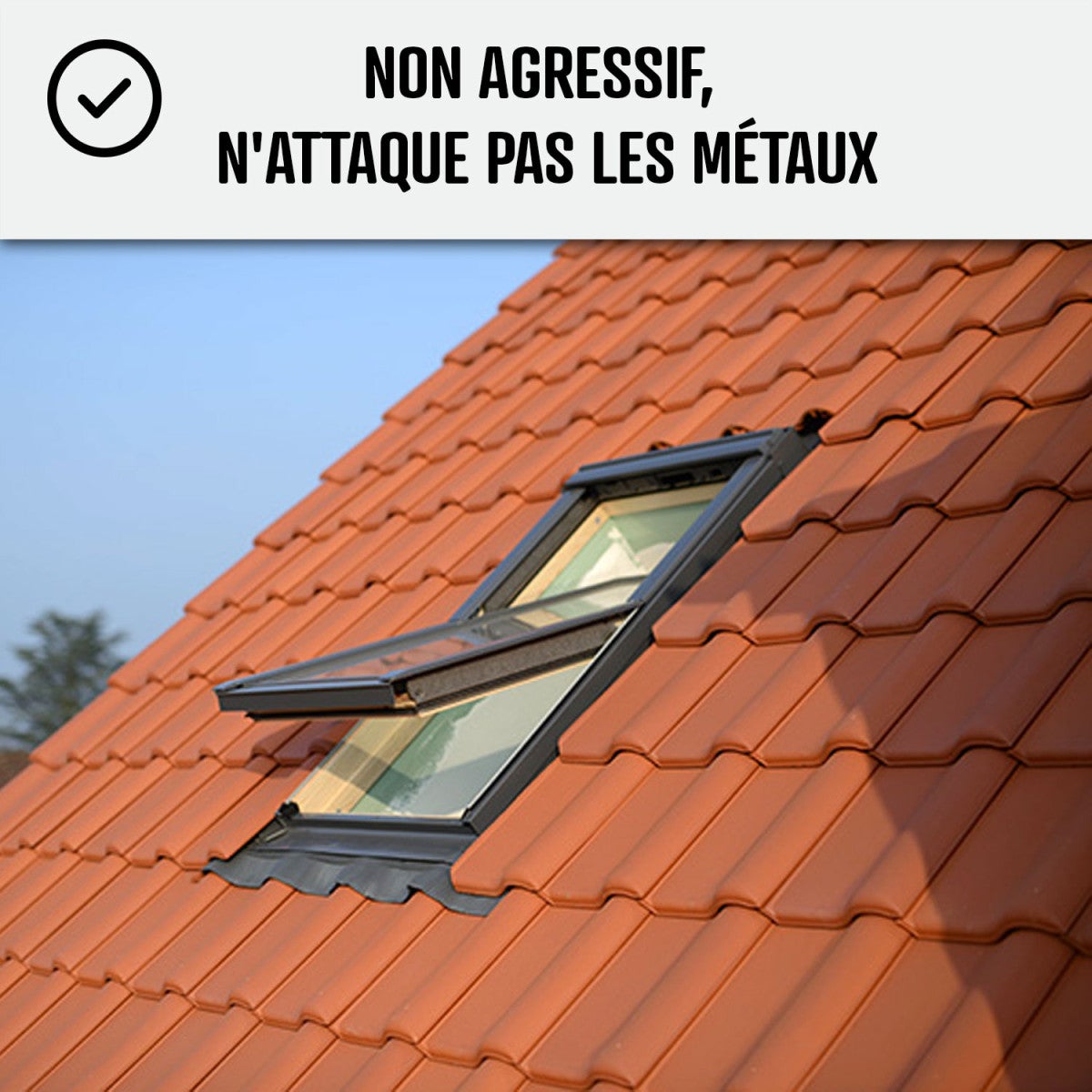 Traitement anti-dépots verts ULTRA CONCENTRÉ pour toitures et tuiles - 5 L (5 x 1L) - ARCANE INDUSTRIES - 3