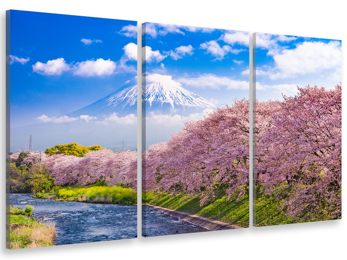 Cuadro tríptico paisaje monte fuji y cerezos en flor - 90x60 cm