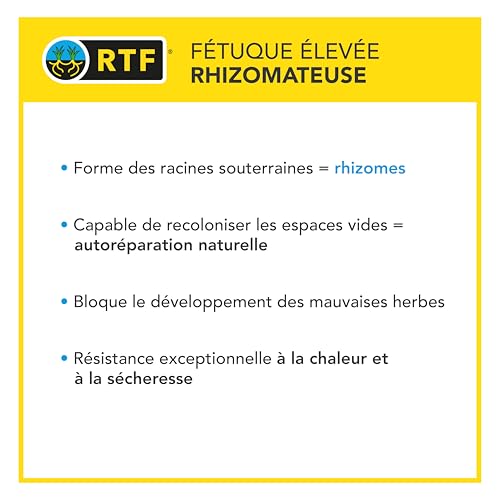 BARENBRUG - Gazon Terrain Sec sans arrosage - Résiste à la Chaleur et à la Sécheresse - Forte Réduction de l'Arrosage - Autoréparation Naturelle - 5KG - 5