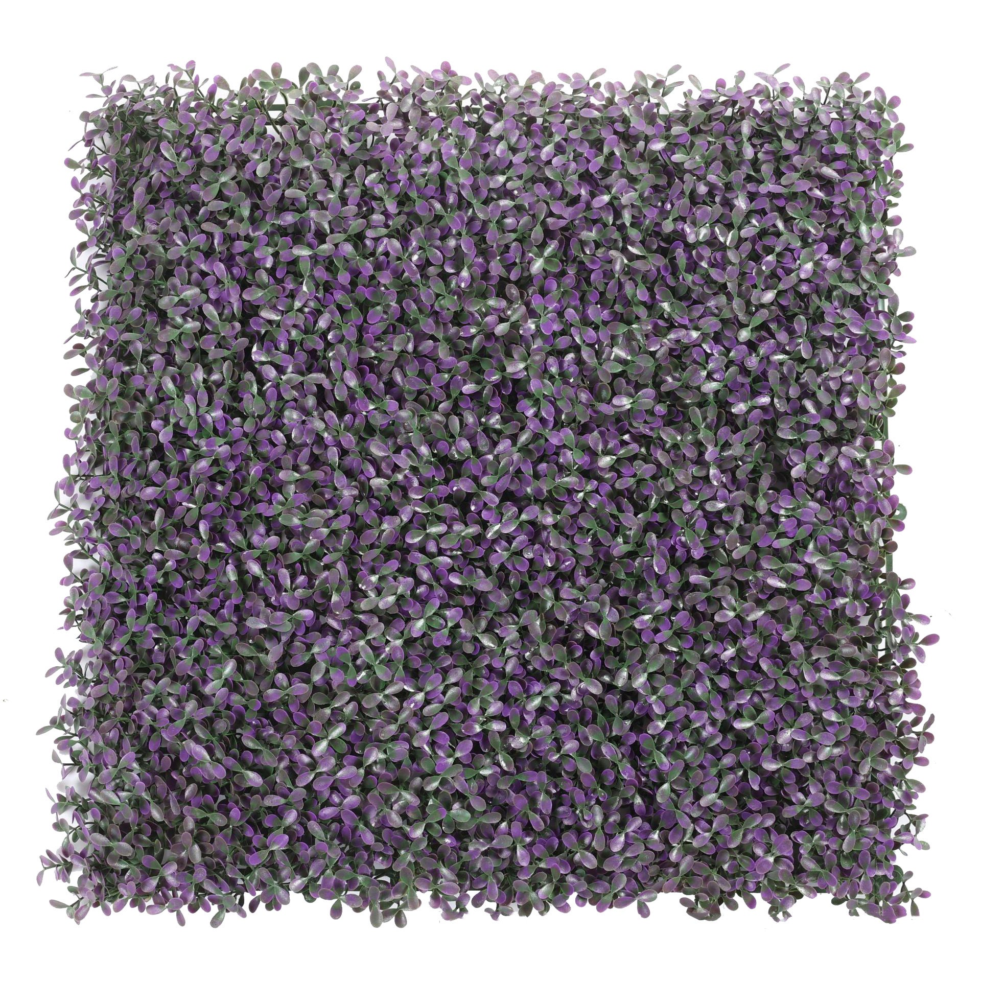 Sztuczny żywopłot, ściana z roślin, dekoracja ścienna, idealna na ślub, 50 x 50 cm, fioletowa