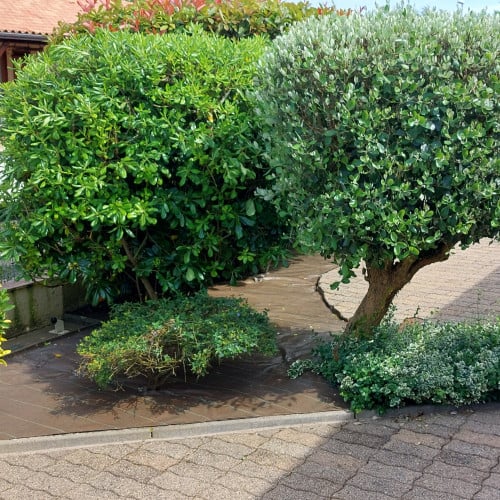 Toile de paillage tissée 130g/m² - Long 15 m, Couleur Marron, Larg 1.05 m - 8