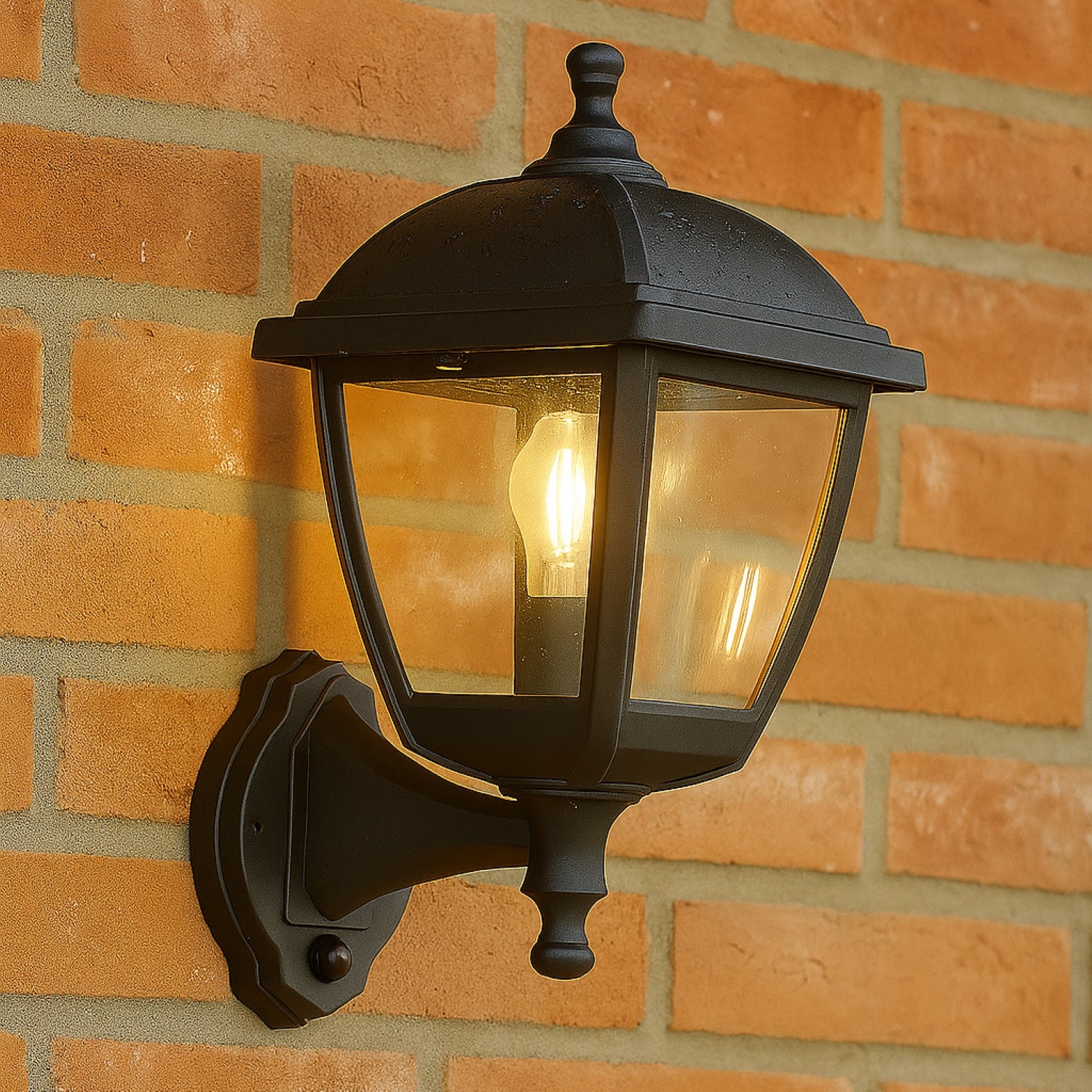 CGC Lighting Applique Murale Extérieure Éclairage Noire Lanterne