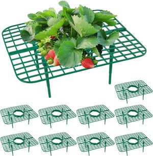 Adiós Fresas Podridas: 8 Soportes Para Que Tus Frutas Crezcan Limpias Y Sanas | Rejilla Elevadora